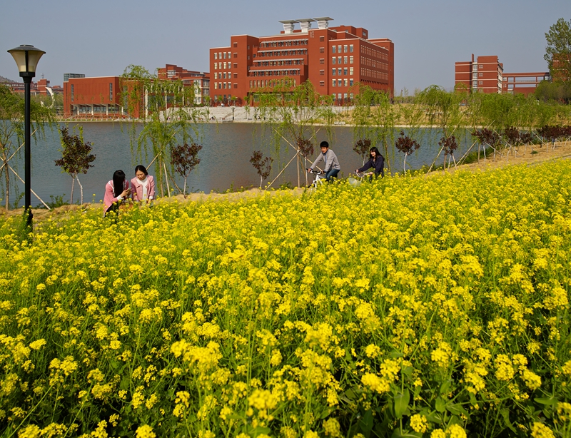 鼠标滚轮放大/缩小图片
